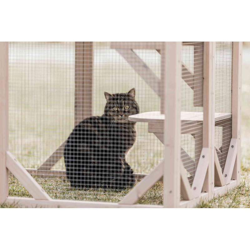 TRIXIE Outdoor Catio Cat Enclosure with Roof Large Cat Playpen with Platforms Cat House Cat Cage Run Reviews Wayfair